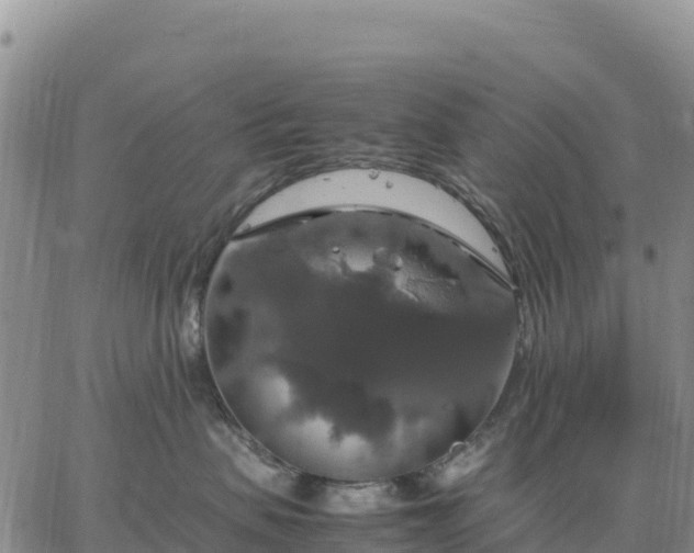 X0000064770479200602171829