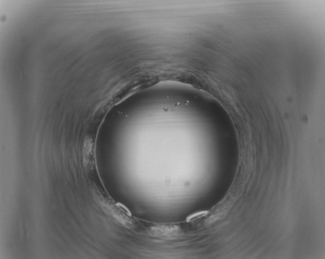 X0000064770480200602171829