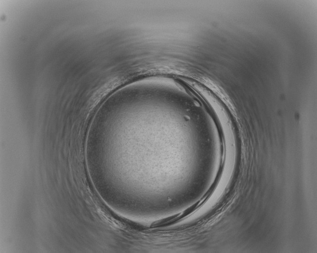 X0000064770481200602171828