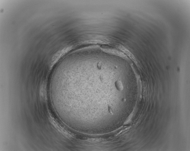 X0000064770482200602171828