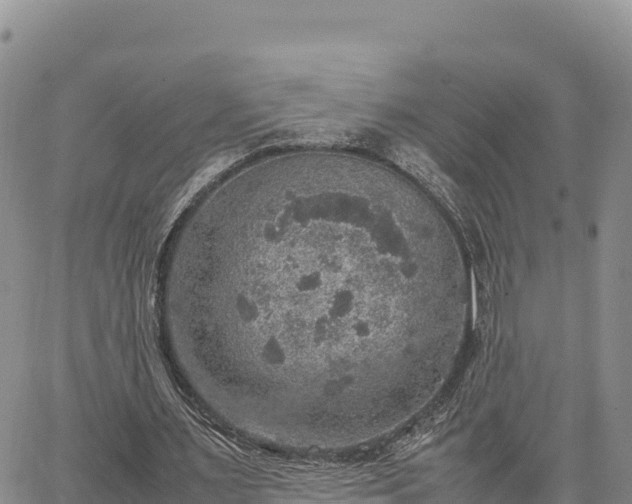 X0000064770483200602171828