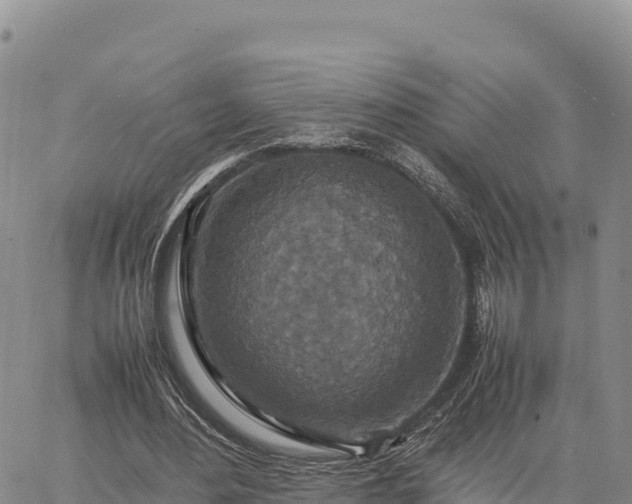 X0000064770484200602171828