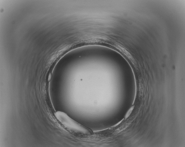 X0000064770485200602171828