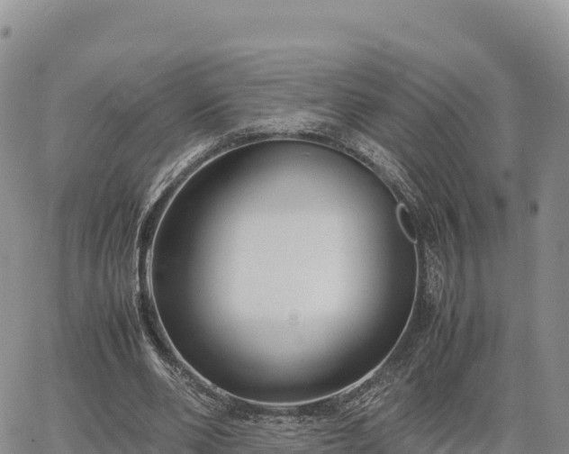 X0000064770486200602171828