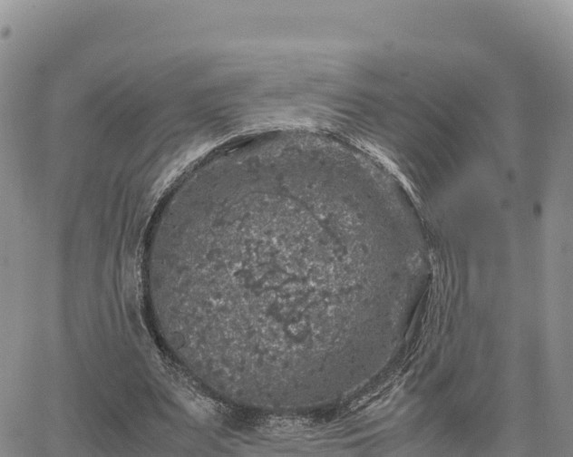 X0000064770487200602171828