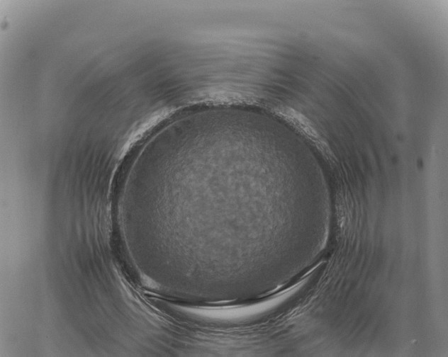 X0000064770488200602171828