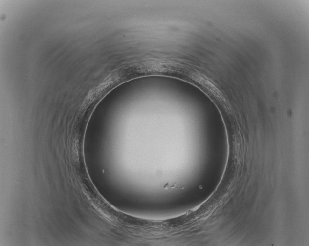 X0000064770489200602171828