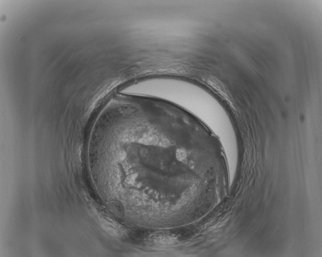 X0000064770491200602171828