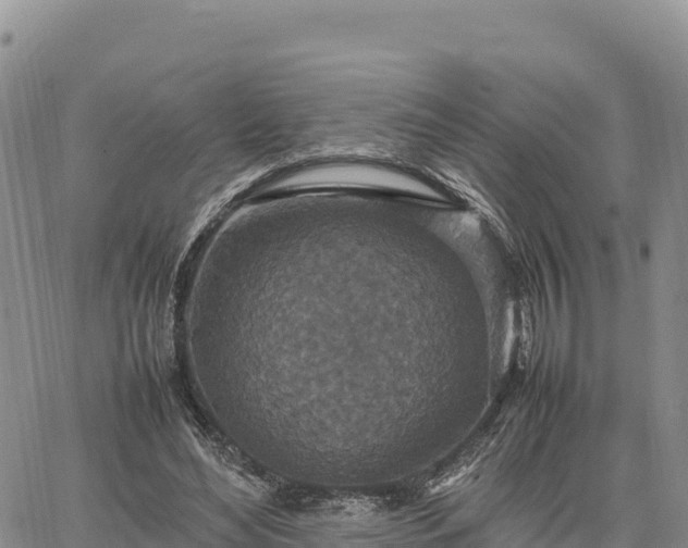 X0000064770492200602171828