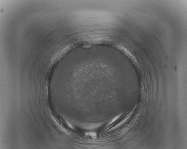 X0000064770493200602171828