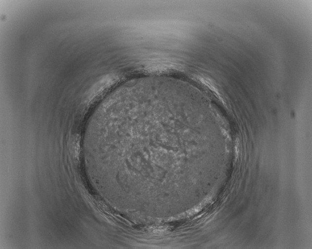 X0000064770495200602171828