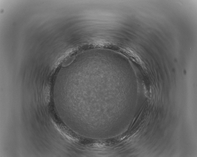 X0000064770496200602171828