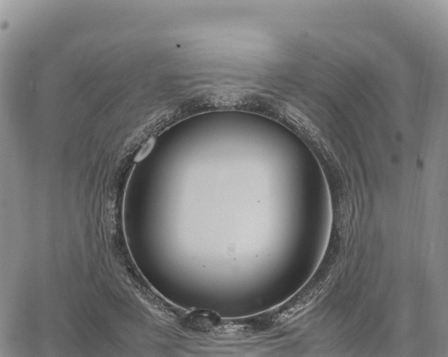 X0000064770497200602171828