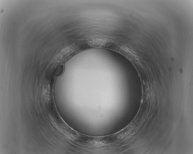 X0000064770498200602171828