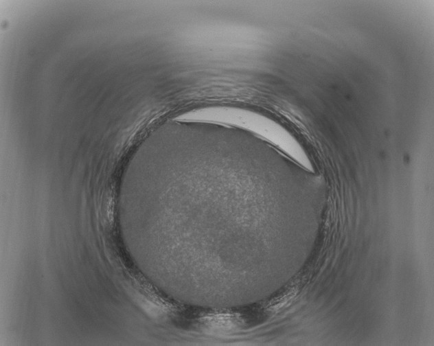 X0000064770499200602171828