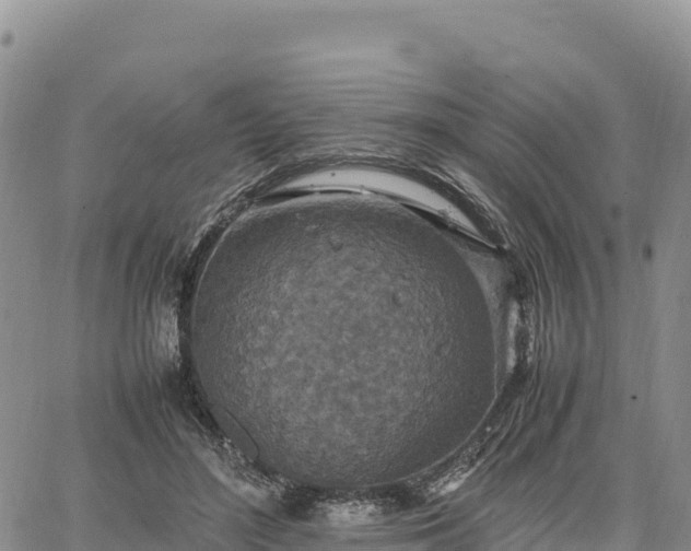 X0000064770500200602171828