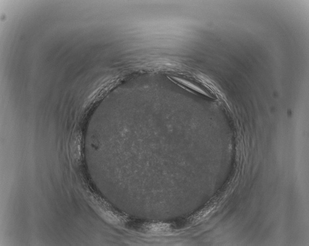 X0000064770501200602171828