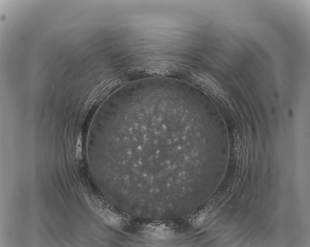 X0000064770502200602171828