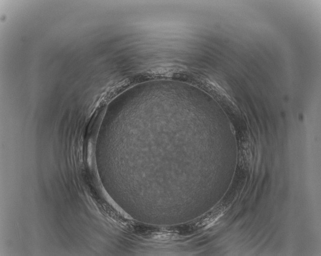 X0000064770504200602171828