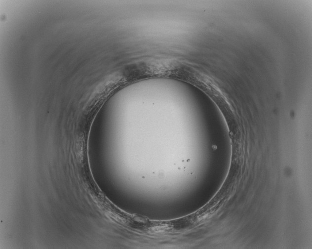 X0000064770505200602171828