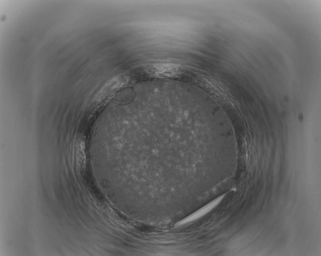 X0000064770506200602171828