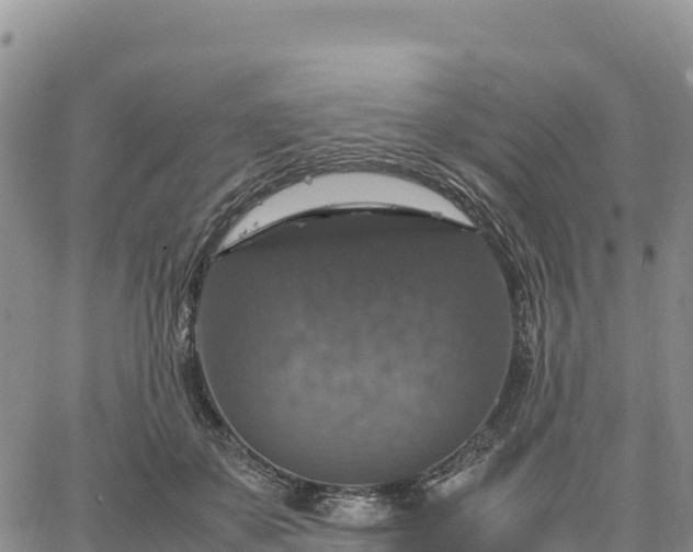 X0000064770507200602171828