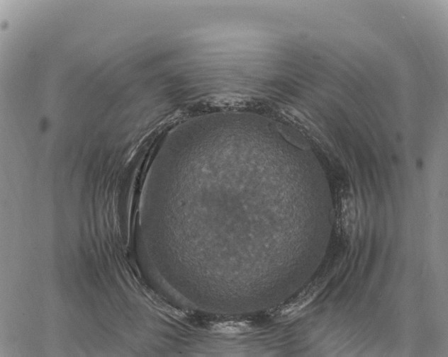 X0000064770508200602171828