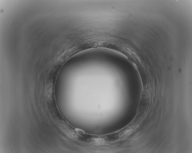 X0000064770509200602171828