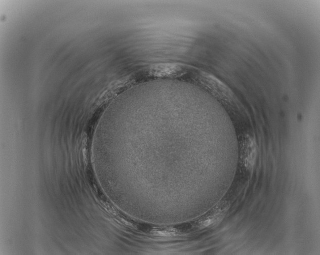 X0000064770510200602171828