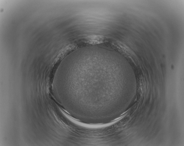 X0000064770512200602171828