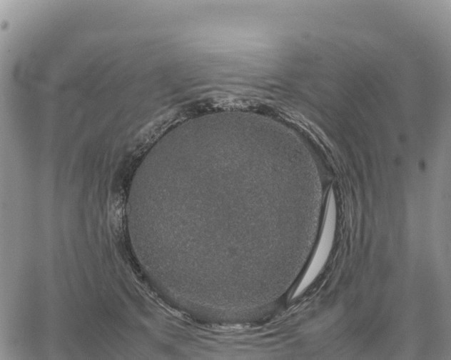 X0000064770513200602171828