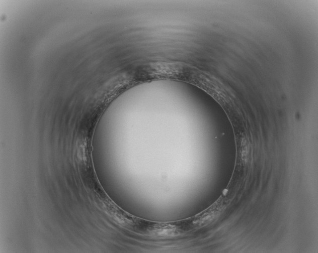 X0000064770514200602171828