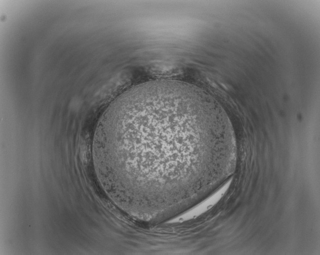 X0000064770515200602171828