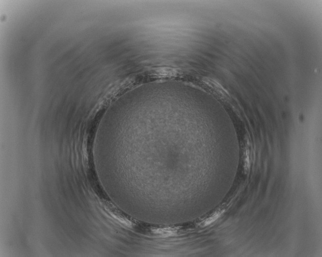 X0000064770516200602171828