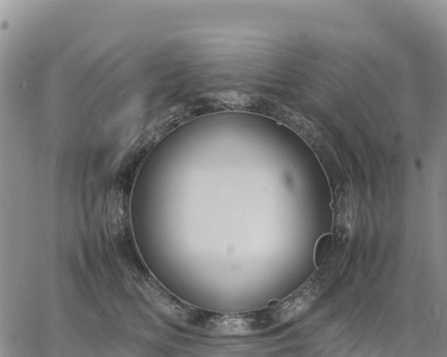 X0000064770518200602171828