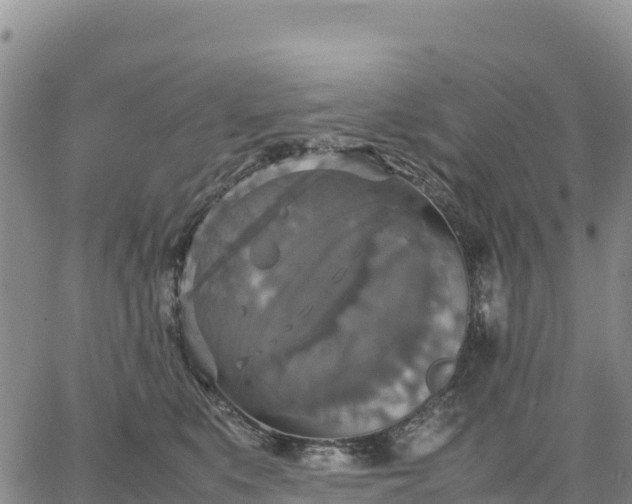 X0000064770519200602171828