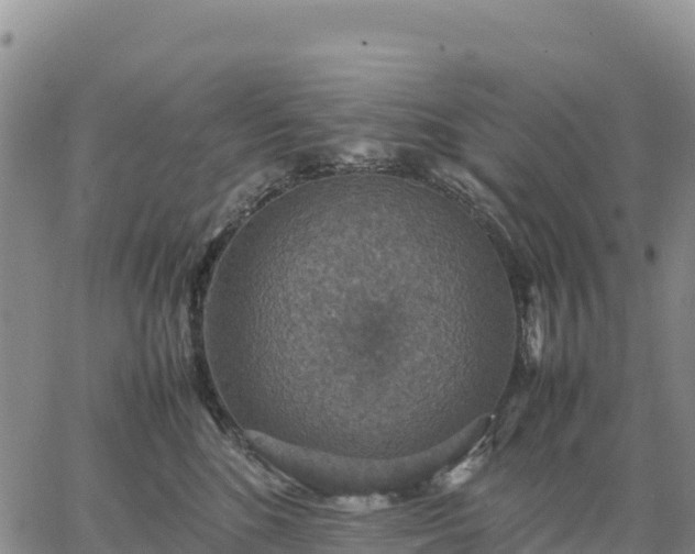 X0000064770520200602171828