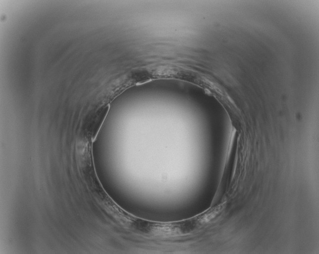 X0000064770521200602171828