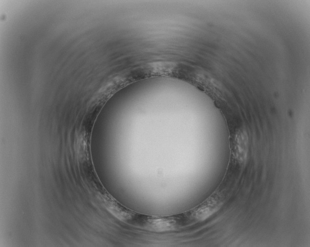 X0000064770522200602171828