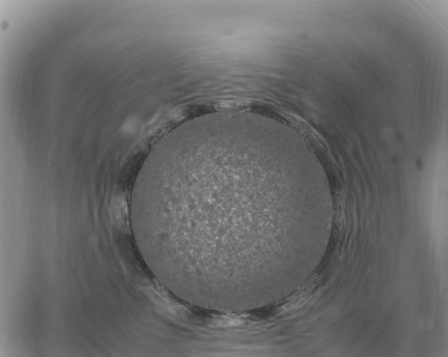 X0000064770523200602171828