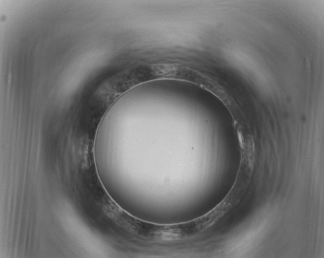 X0000064770525200602171828