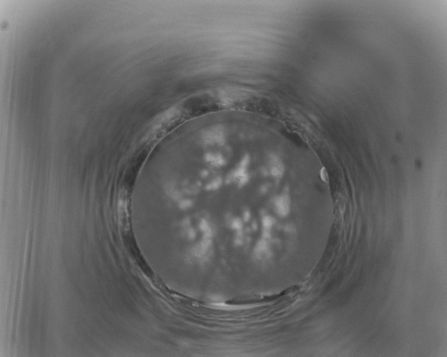 X0000064770527200602171828