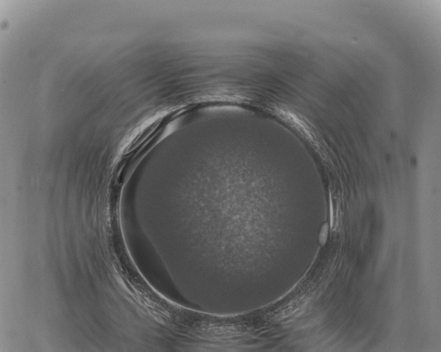 X0000064770531200602171827