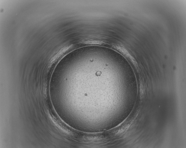 X0000064770533200602171827