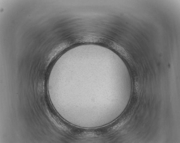 X0000064770534200602171827