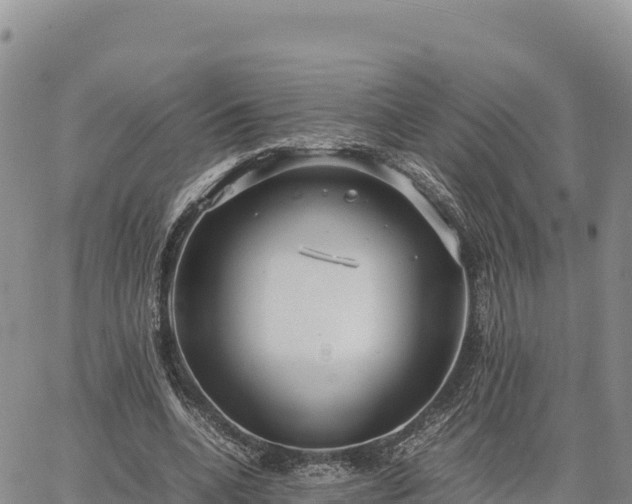 X0000064770536200602171827