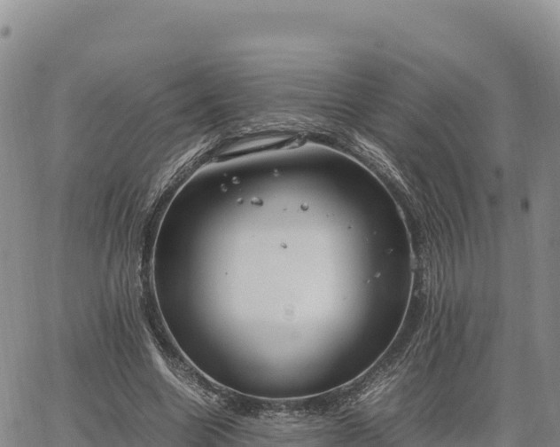 X0000064770538200602171827