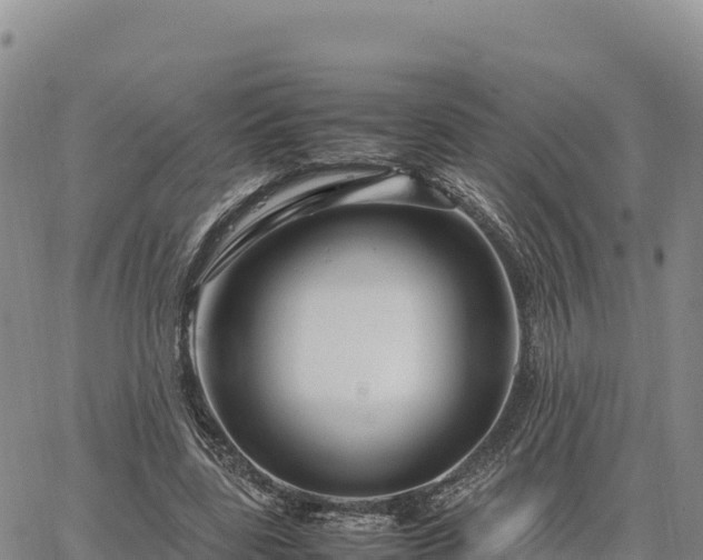 X0000064770539200602171827