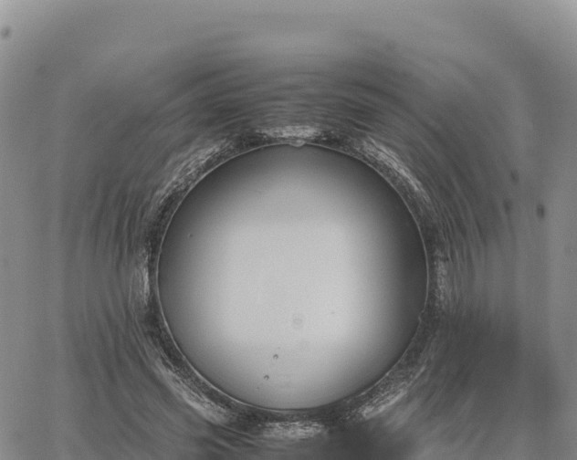 X0000064770541200602171827