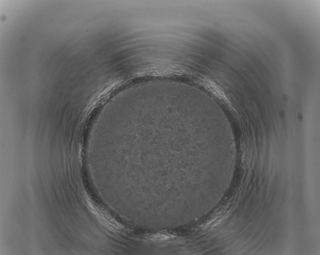 X0000064770542200602171827